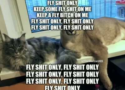 flop shit only