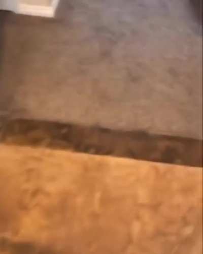 A.