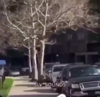 cursed_crackhead