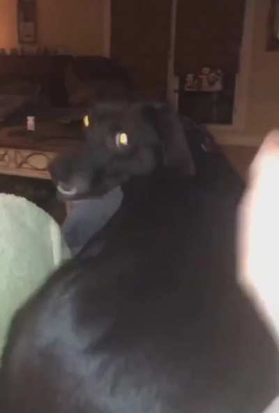He won't be clapping any hands, atleast not for a while...