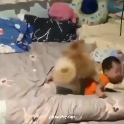 doggy sins