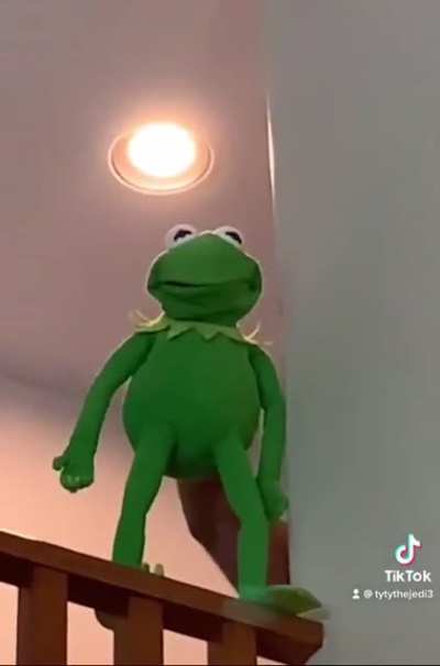Bro he Kermited suicide