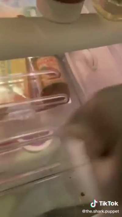 Thought it might be the first scream