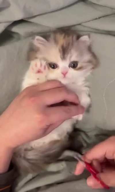 Just quietly enjoying the pedicure service