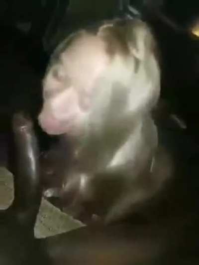 Anybody know if there is a full version of this?
