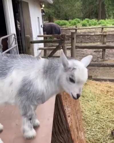 I'm gonna thump ya