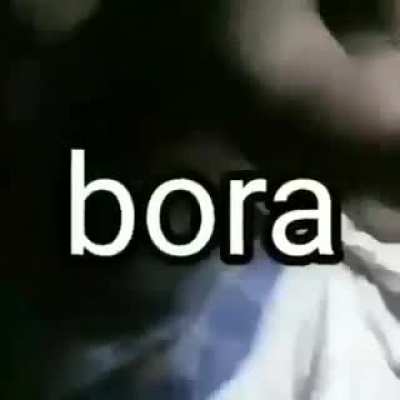 Bora tortuguita