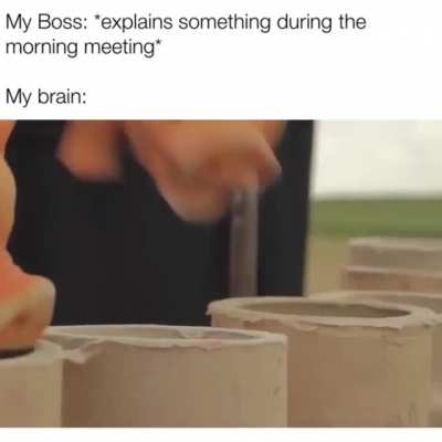 *oink oink*