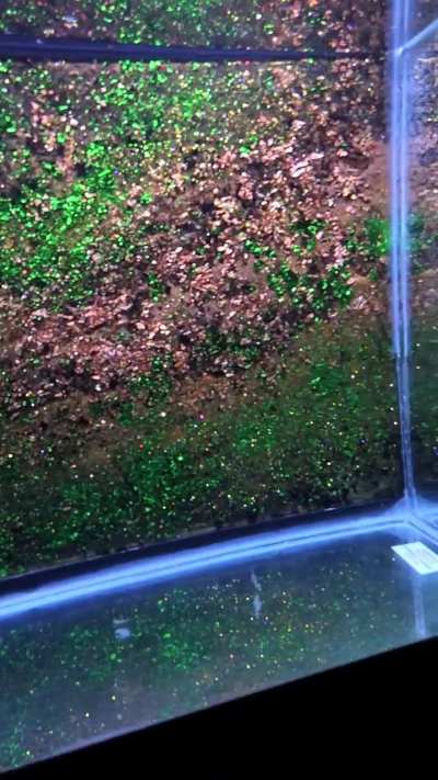 I'm getting into making resin-layered aquarium backgrounds, this is my proof of concept. Inspired by a copper vein, but it came out almost bioluminescent