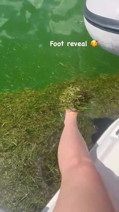 foot