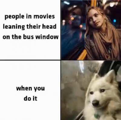 me_irl
