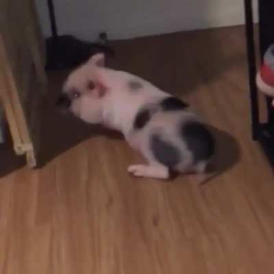 Wood floors are slippery