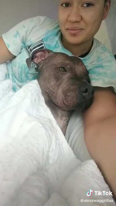 @alexswagzilla what&rsquo;s wrong with your dog 😂😂😂