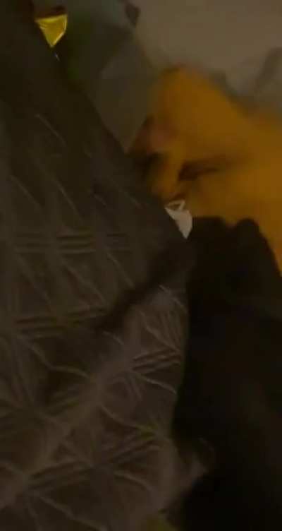 POV: You&rsquo;re laying in bed eating Domino&rsquo;s and you look over to see this