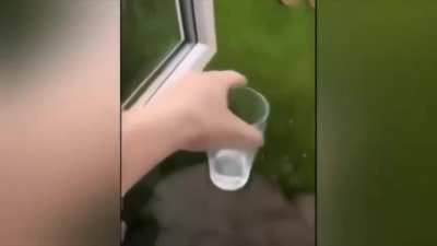 Bottle Flip