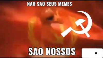 Magn&iacute;fico