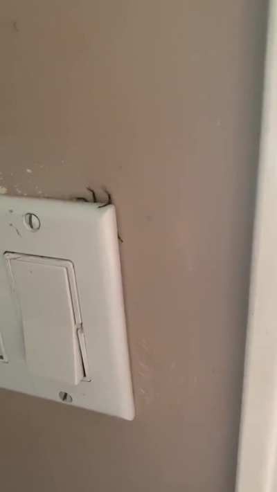 I&rsquo;ll never touch a light switch again