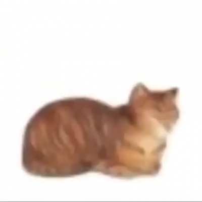 🐱=🍞
