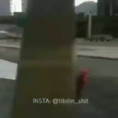 Uma hist&oacute;ria de supera&ccedil;&atilde;o, de uma galinha &eacute; a rua