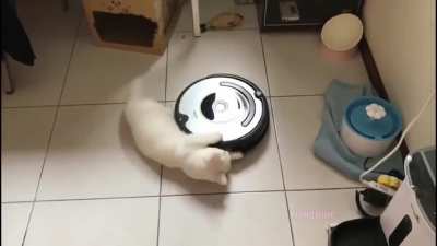 Spinning