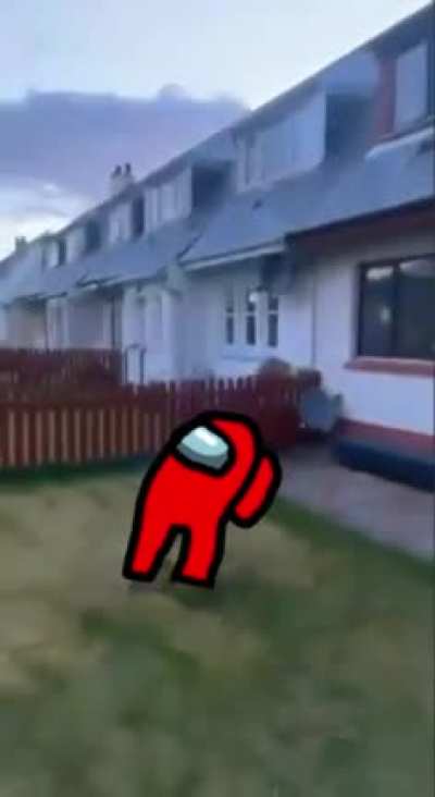 Spine is sus