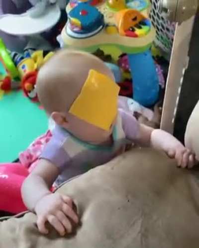 Baby.exe stopped working.