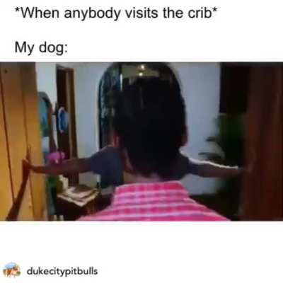 WTFAY !!!!