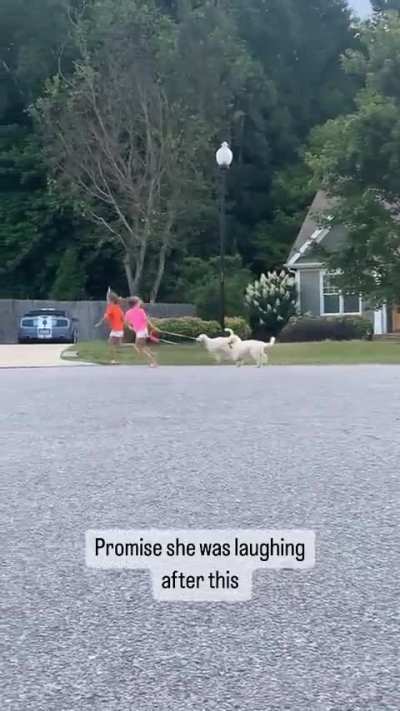 Puppies!