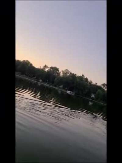 Освобождение потапыча от пластиковой бадьи на башке