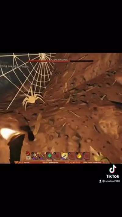 Spider.