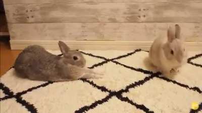 How to surreptitiously stretch within reach of kisses