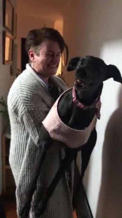 my mum&rsquo;s dog had to go to the vet. she came back very, very high.