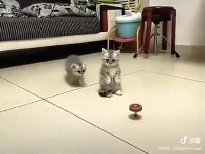 Don't touch that !!!