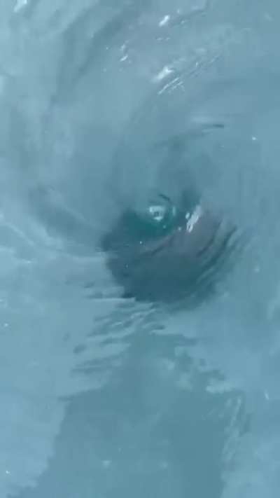 Steal water
