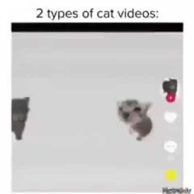 cate