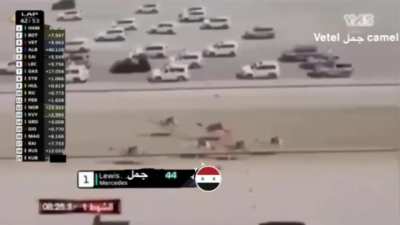 Formula 1 😳 Syrian Grand Prix 🇸🇾 144p UHD لماذا تترجم هذا الجمل vetel