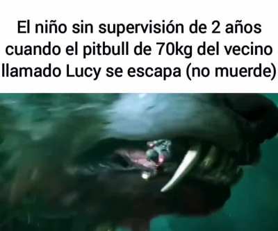 Es muy calmado 😇