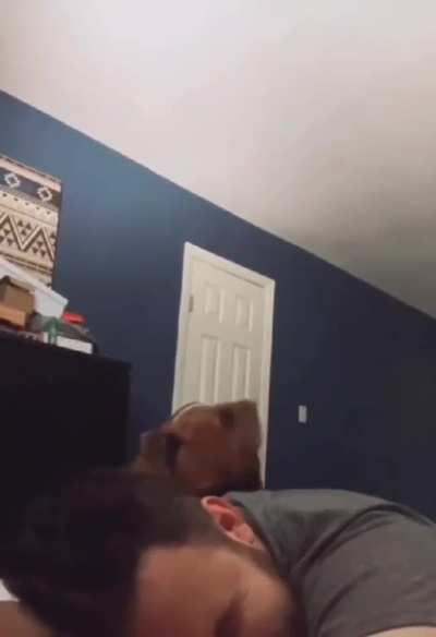 Hey, get up, it's time to go for a walk