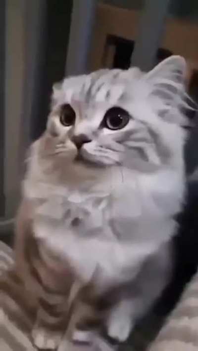 Send this to a friend "me when you"