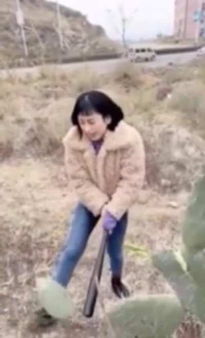 Cactus abuse&hellip;