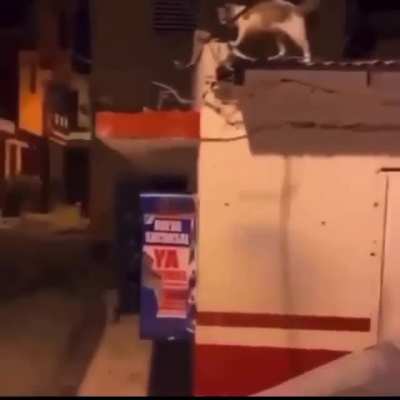 Slap... Slap... Slap... My work here is done