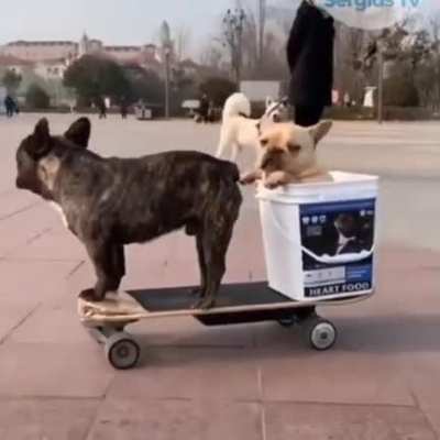 They riding together