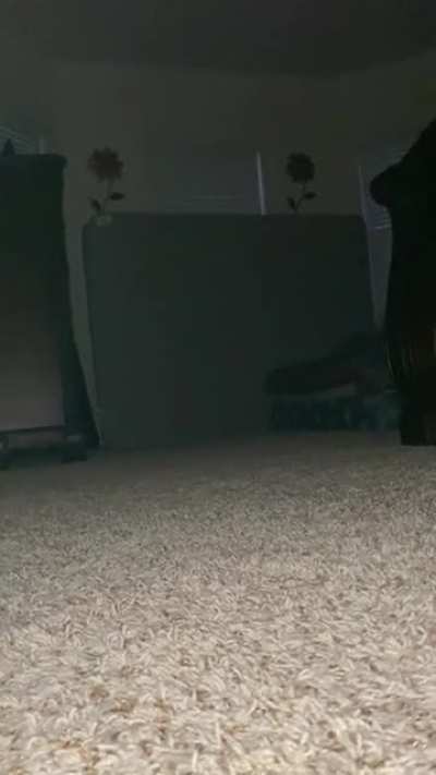 Secks