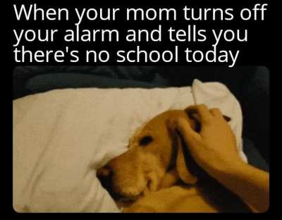 absolutelynotme_irl