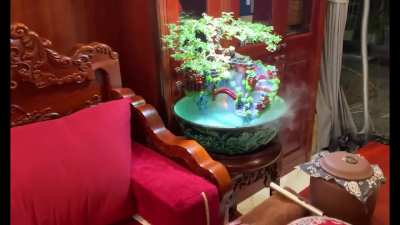 2 gardens in my living room