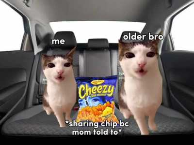IgaveigVeohave: dam quirky cats