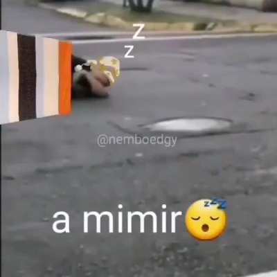😴😴