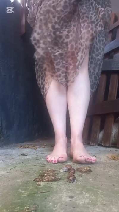 Another peek