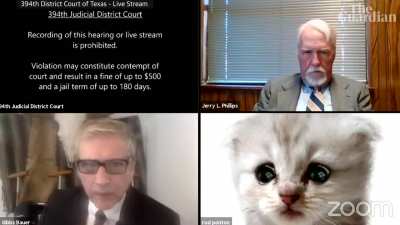 Lawyer gets stuck with cat filter on during Zoom court case