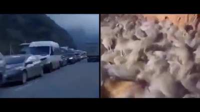 Jeli vam/koliko vam je rat u Ukrajini promijenio mi&scaron;ljenje o Rusiji?